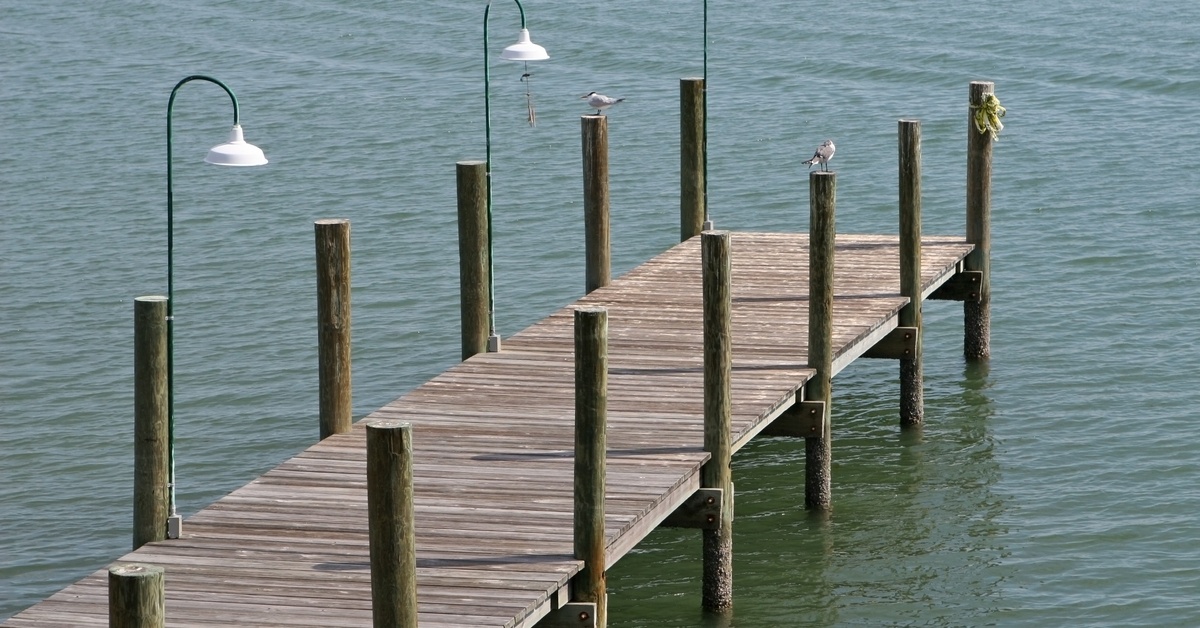 An empty dock during the daytime surrounded by calm water. Three slim lights and two small birds are on the dock.