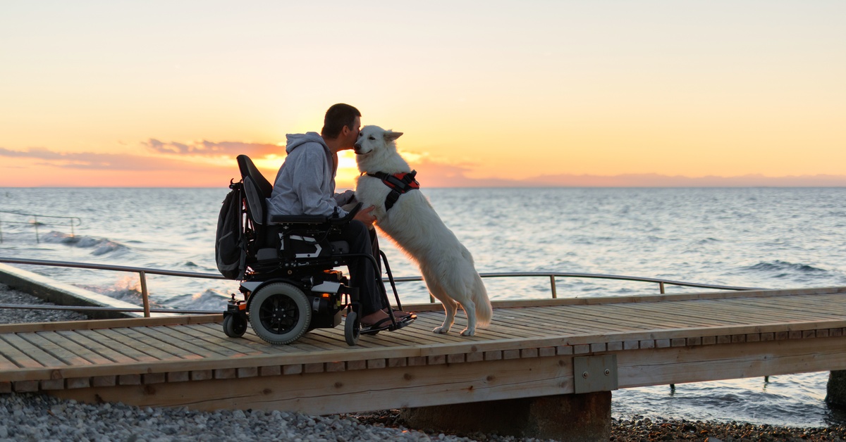 A wheelchair owner leans over to nuzzle up against his dog on a boat dock while the sun sets behind them.